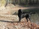 tim_201109_8.jpg